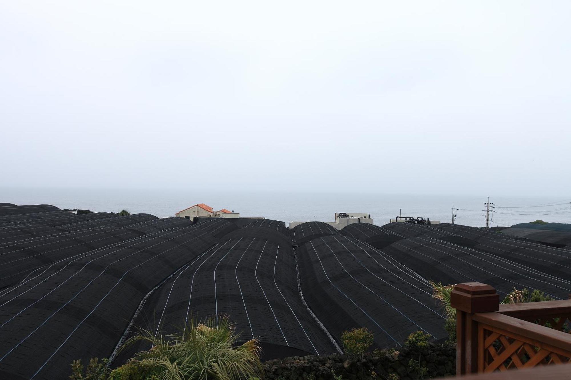 Haevichi Pension Seogwipo Exterior foto
